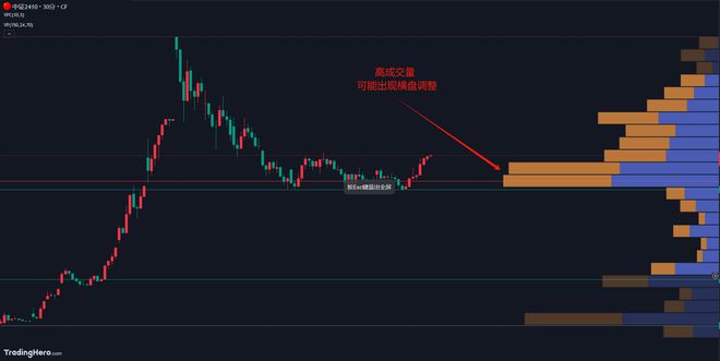 Hero 成交量分布图掌控交易关键密码long8唯一登录解锁 Trading(图2)